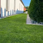Bagoly Daire Fertőrákos